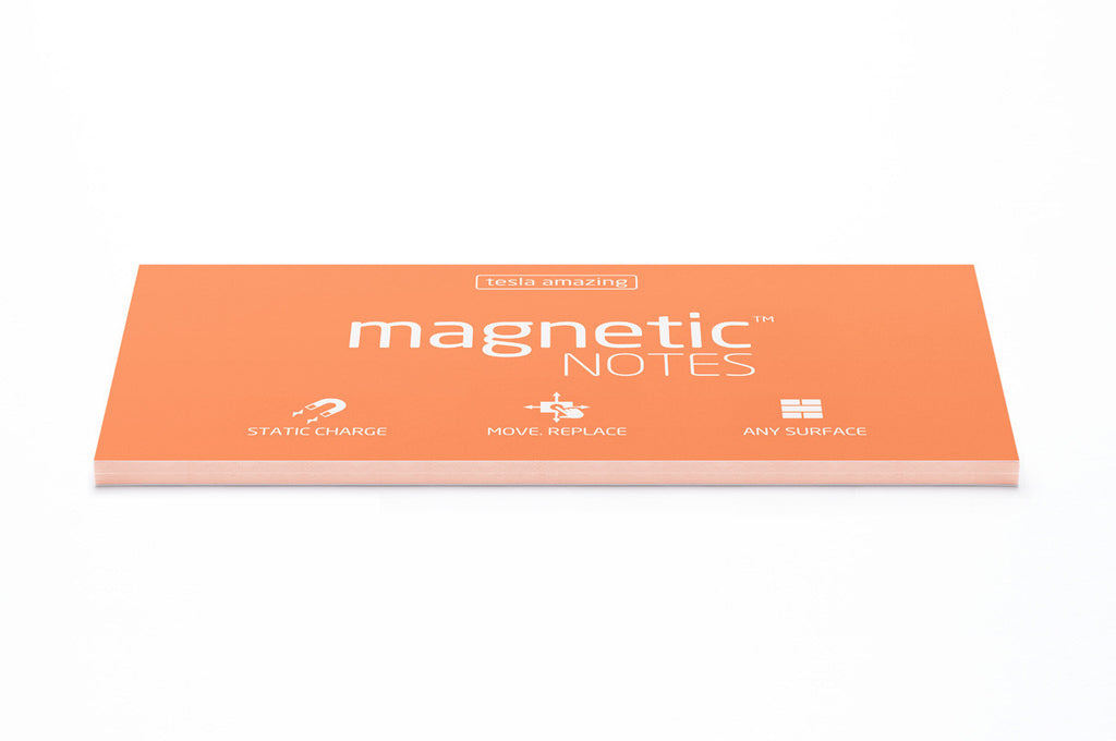 Magnetic Notes / Size-L / Peachy