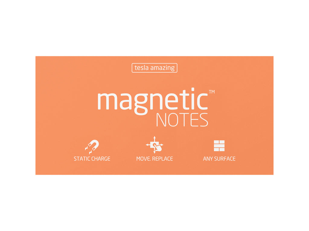 Magnetic Notes / Size-L / Peachy