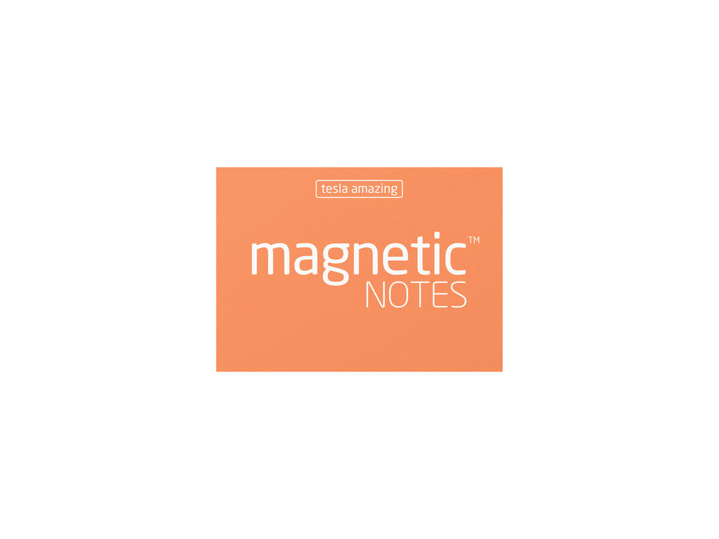 Magnetic Notes / Size-S / Peachy